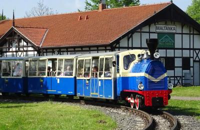 Zdjęcie z taksonomii