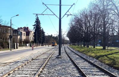 Zdjęcie z taksonomii