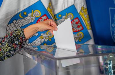 Zdjęcie z taksonomii