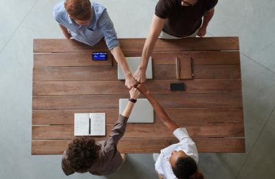 Zdjęcie z taksonomii