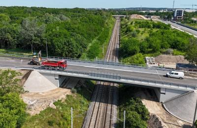 Zdjęcie z taksonomii