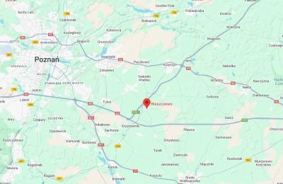 Zdjęcie z taksonomii