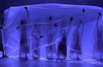 Zdjęcie z taksonomii