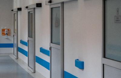 Zdjęcie z taksonomii