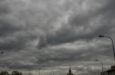 Zdjęcie z taksonomii