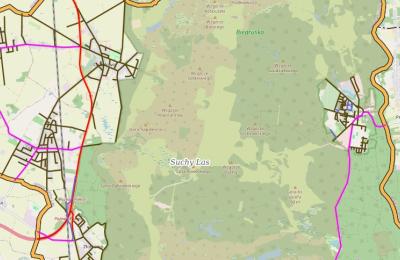 Zdjęcie z taksonomii