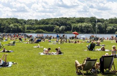 Zdjęcie z taksonomii