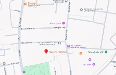 Zdjęcie z taksonomii