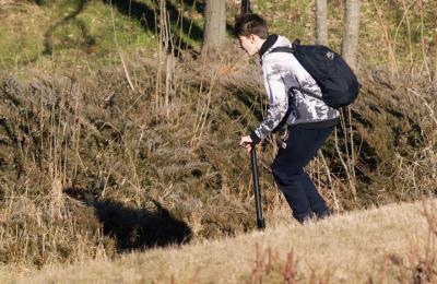Zdjęcie z taksonomii