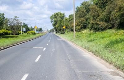 Zdjęcie z taksonomii