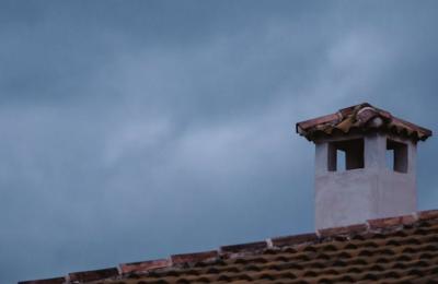 Zdjęcie z taksonomii