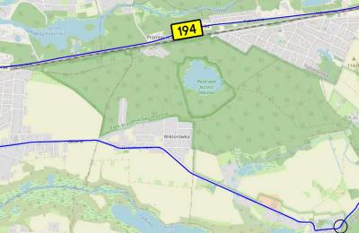 Zdjęcie z taksonomii