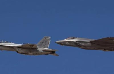 Zdjęcie z taksonomii