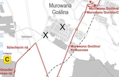 Zdjęcie z taksonomii