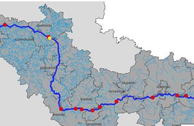 Zdjęcie z taksonomii