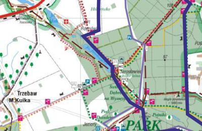 Zdjęcie z taksonomii