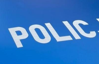 Zdjęcie z taksonomii