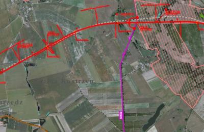 Zdjęcie z taksonomii