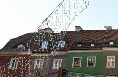 Zdjęcie z taksonomii