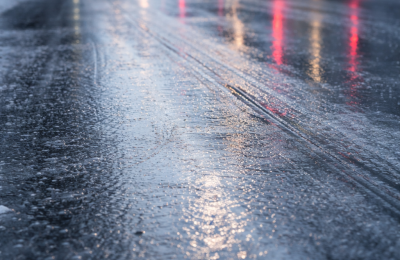 Zdjęcie z taksonomii