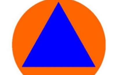 Zdjęcie z taksonomii