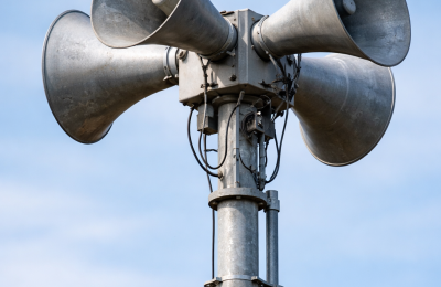 Zdjęcie z taksonomii