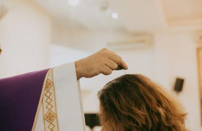 Zdjęcie z taksonomii