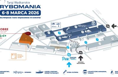 Zdjęcie z taksonomii