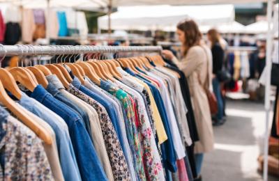 Zdjęcie z taksonomii