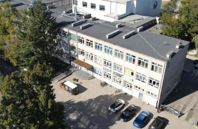 Zdjęcie z taksonomii