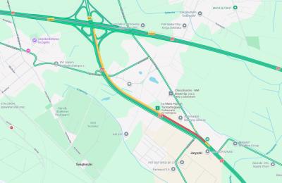 Zdjęcie z taksonomii