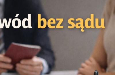 Zdjęcie z taksonomii