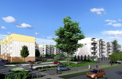 Zdjęcie z taksonomii