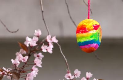 Zdjęcie z taksonomii