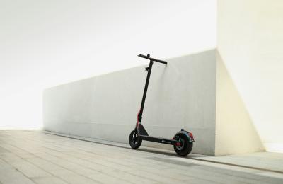 Zdjęcie z taksonomii