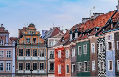 Zdjęcie z taksonomii