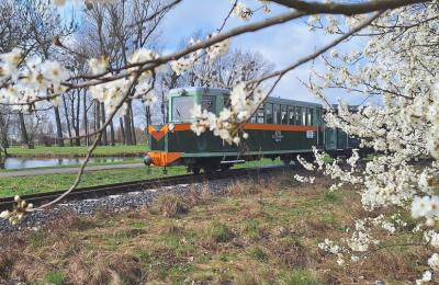 Zdjęcie z taksonomii