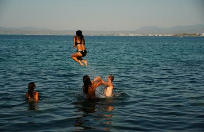 Zdjęcie z taksonomii