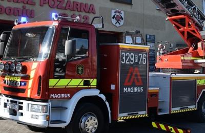 Zdjęcie z taksonomii