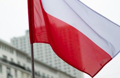 Zdjęcie z taksonomii