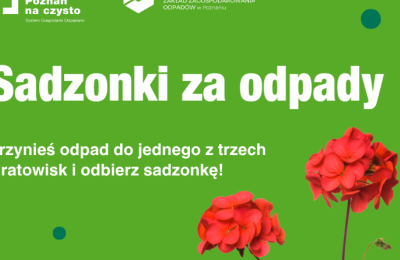Odbierz pelargonię za odpady – świętujemy Dzień Środowiska w Poznaniu