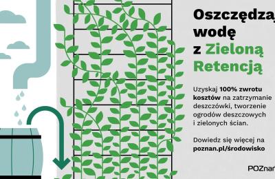 Dotacje na zielone inwestycje w Poznaniu – rusza nabór wniosków