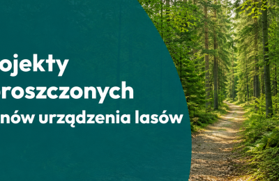 Uproszczone plany urządzenia lasów w Mosinie - czas na konsultacje