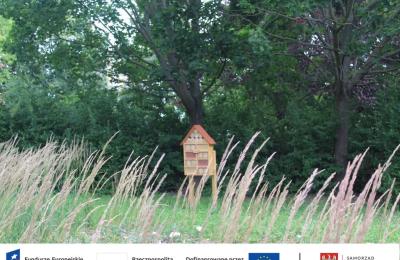 Park Czarneckiego w Poznaniu po metamorfozie: więcej zieleni, retencji i wygody
