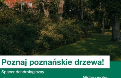Spacer dendrologiczny dla seniorów w Poznaniu: park Jana Pawła II, 21 lipca