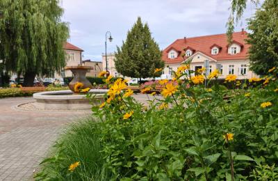 Kępno dosadza róże, tulipany i krokusy. Gmina dostała 15 tys. zł od InPost for Cities