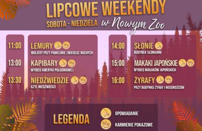 Wakacyjne spotkania z opiekunami i zwierzętami w Nowym Zoo w Poznaniu