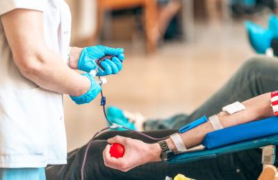 Podstrona poznan.pl/oddajkrew z informacjami o punktach poboru, ulgach dla krwiodawców i nadchodzącej akcji w urzędzie