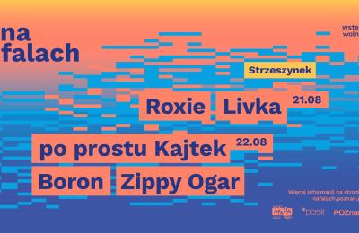 Finał #NaFalach w Poznaniu: koncerty nad Strzeszynkiem i Maltą od 21 do 25 sierpnia