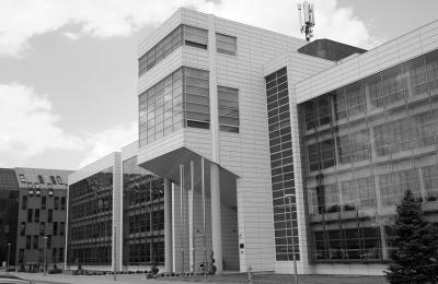 Grant NCN dla badaczki Uniwersytetu Ekonomicznego w Poznaniu na badanie postaw wobec bezdzietnych